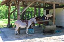 Tourist destination images of Bandai Kogen Minamigaoka Farm(1)