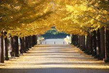 Tourist destination images of Azuma Comprehensive Sports Park, Fukushima Prefecture(1)