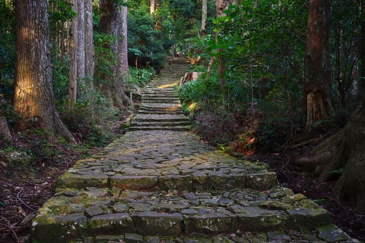 Kumano Kodo (Nakahechi Trail)