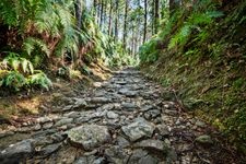 Tourist destination images of Kumano Kodo (Nakahechi Trail)(2)