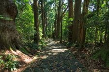 Tourist destination images of Kumano Kodo (Nakahechi Trail)(3)