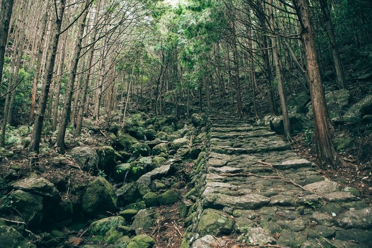 Tourist destination images of Kumano Kodo Iseji Nikishima(2)