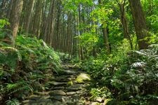 Tourist destination images of Kumano Kodo Iseji Nikishima(1)