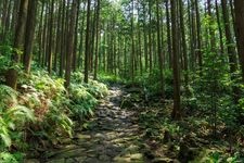 Tourist destination images of Kumano Kodo Iseji Nikishima(1)