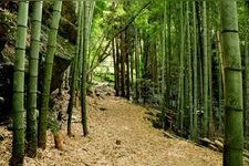 Tourist destination images of Kumano Kodo Fujiishiro-saka(1)