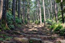 Tourist destination images of Kumano Kodo Fujiishiro-saka(2)