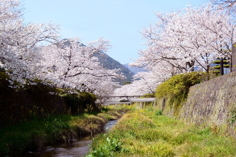 Ichinosaka River