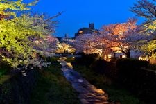 Tourist destination images of Ichinosaka River(2)