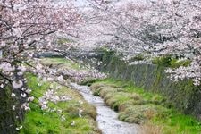 Tourist destination images of Ichinosaka River(3)