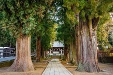 Tourist destination images of Kawaguchiko Sengen Shrine(2)