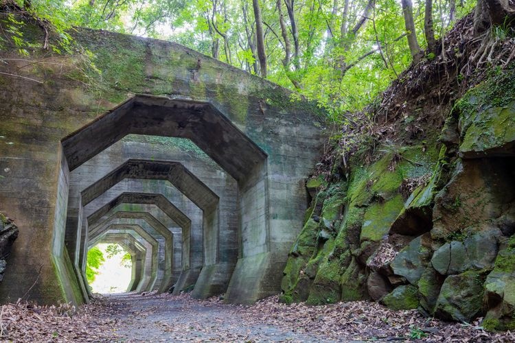 Hachikaku Tunnel (Kumaeno Railway Remains)