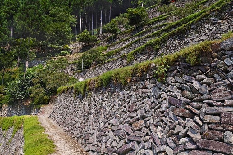 Takaikai Stone Walls