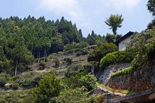 高开的石砌墙（大神高开）的旅游景点图片(4)