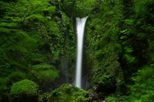 Tourist destination images of Jintō-no-taki Waterfall(2)