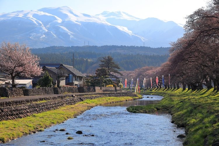 Nakayama River Park