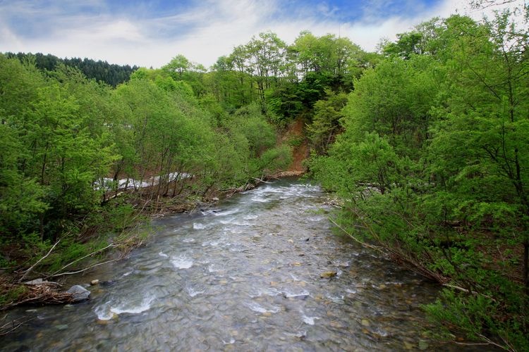 Tourist destination images of Shirakami-Sanchi (Beech Forest Trail)(2)