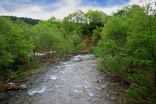 Tourist destination images of Shirakami-Sanchi (Beech Forest Trail)(2)