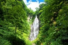 Tourist destination images of Shirakami-Sanchi Kurokuma Falls(1)