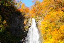 Tourist destination images of Shirakami-Sanchi Kurokuma Falls(2)