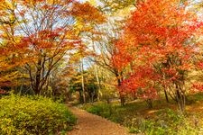 Tourist destination images of Akagi Nature Park(2)