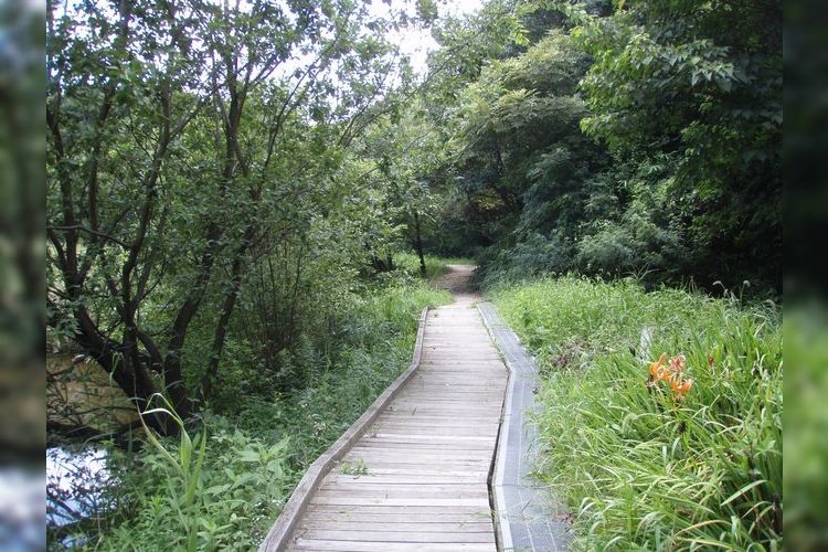 Tourist destination images of Inataka Ryokuchi (Inataka Green Space)(2)