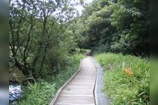 Tourist destination images of Inataka Ryokuchi (Inataka Green Space)(2)