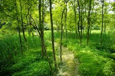 Tourist destination images of Inataka Ryokuchi (Inataka Green Space)(1)