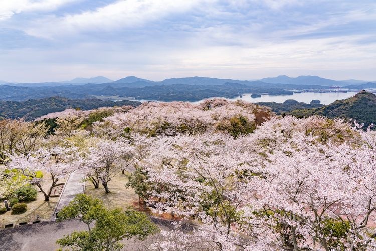 오야마 공원(이로하 섬)