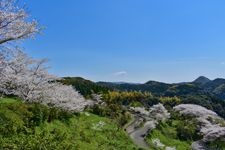 다카오산 공원 (이로하 섬)의 관광지 사진(1)