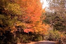 Tourist destination images of Tomisato Gorge(2)