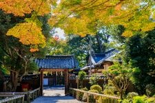 Tourist destination images of Yoshino-jinja Shrine(2)