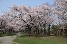 Tourist destination images of Gappu Park(3)