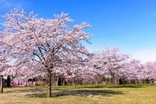 西公園的觀光地圖片(2)