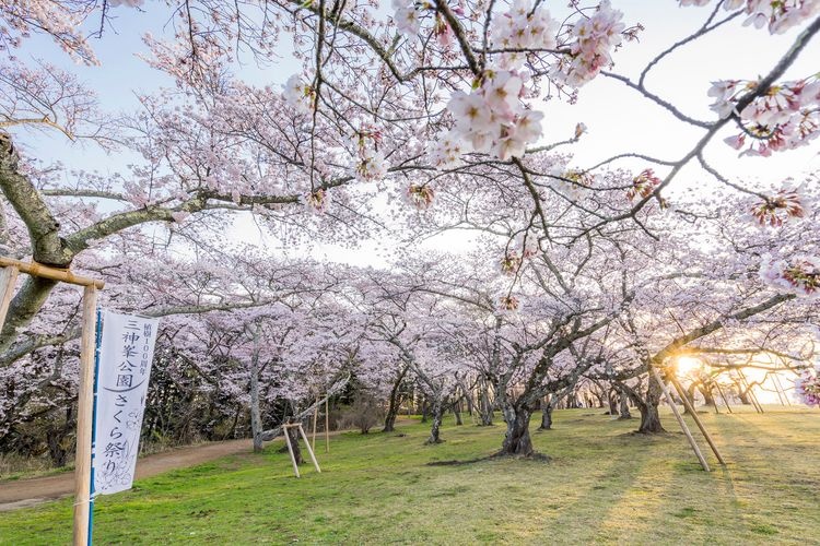 三神峯公園