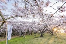 三神峯公園的觀光地圖片(1)