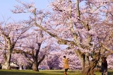 三神峯公園的觀光地圖片(2)