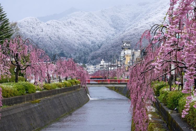 Kuratsu River Green Space