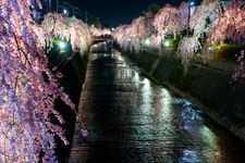 Tourist destination images of Kuratsu River Green Space(1)