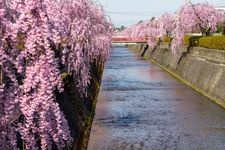 Tourist destination images of Kuratsu River Green Space(2)