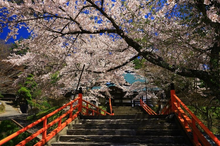 Fukusenji Temple