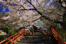 Tourist destination images of Fukusenji Temple(1)