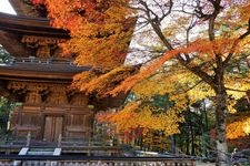 Tourist destination images of Fukusenji Temple(4)