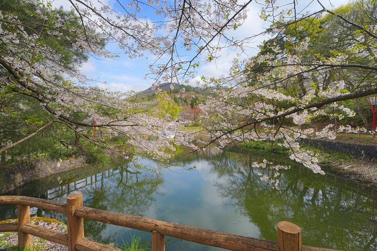 마스다 공원 (Masuda Park)