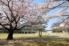 Tourist destination images of Hira Chuo Park(1)