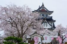 横手公園の観光地画像(4)