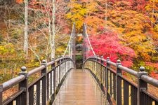 Tourist destination images of Shiobara Gorge(3)