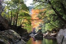 Tourist destination images of Kuroson Keikoku (Valley)(3)