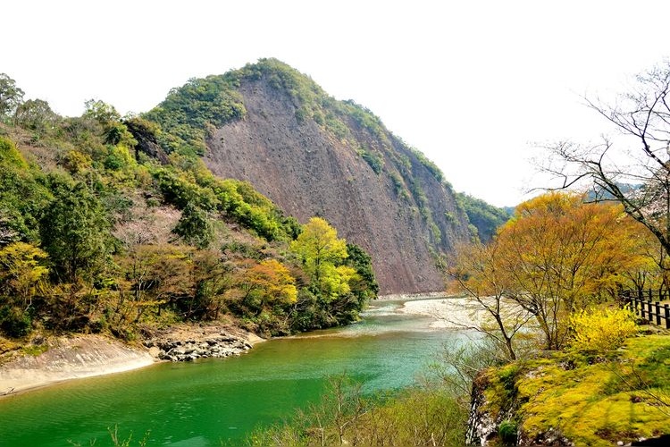 古座川 3