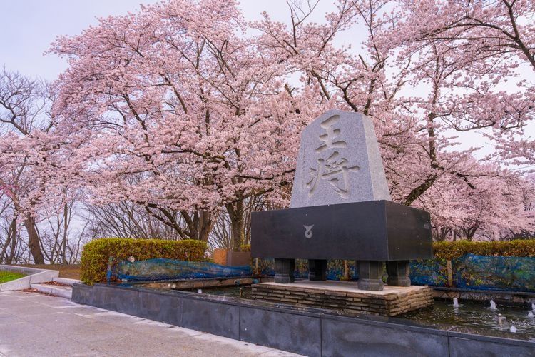天童公園 3