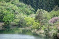 Tourist destination images of Yashio Ikono Mori (Yashio Recreation Forest)(2)